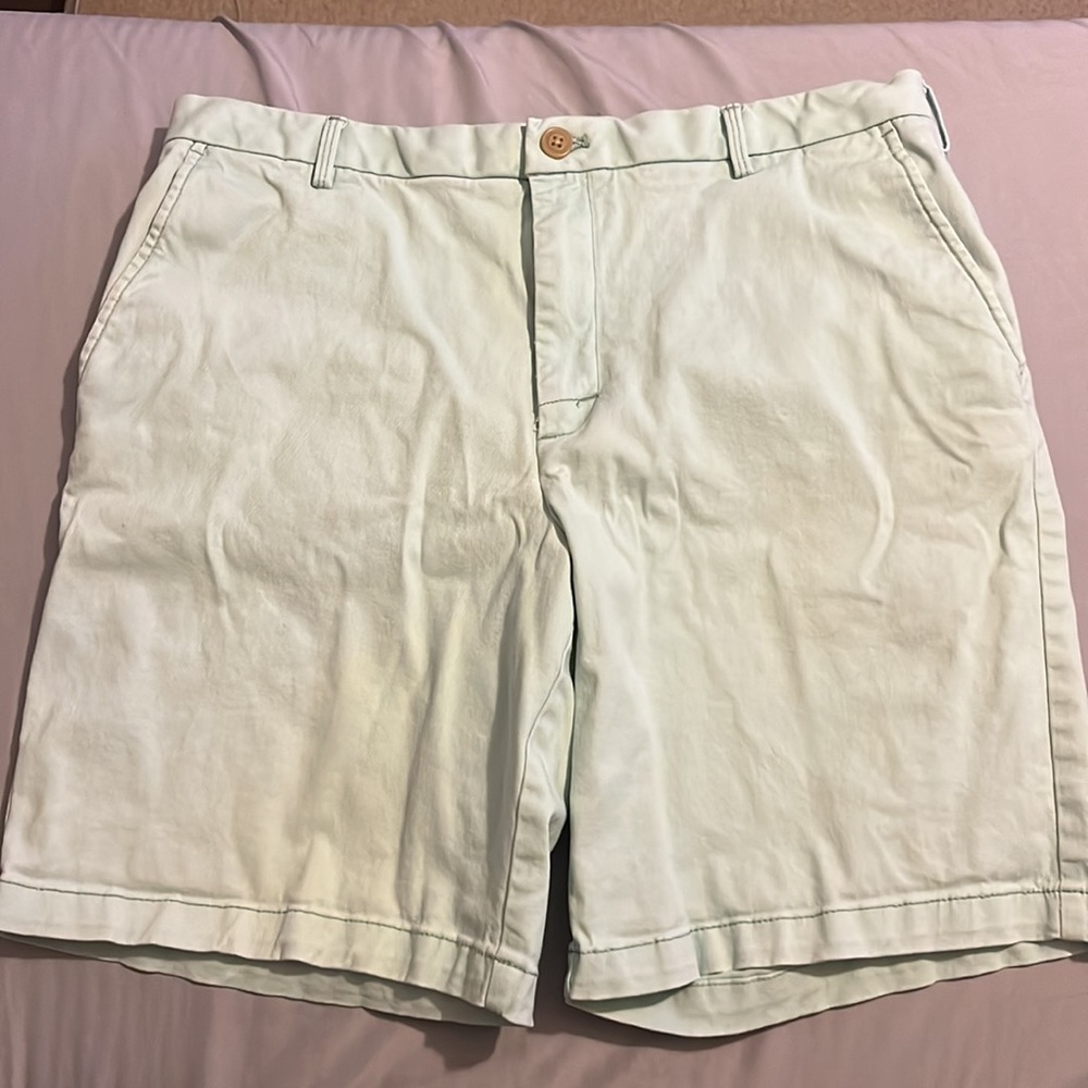 IZOD Mint Green Men’s Shorts